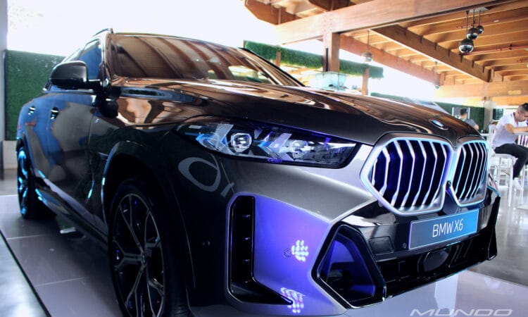 BMW X5 y X6