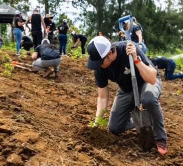 Chevrolet siembra 75 árboles