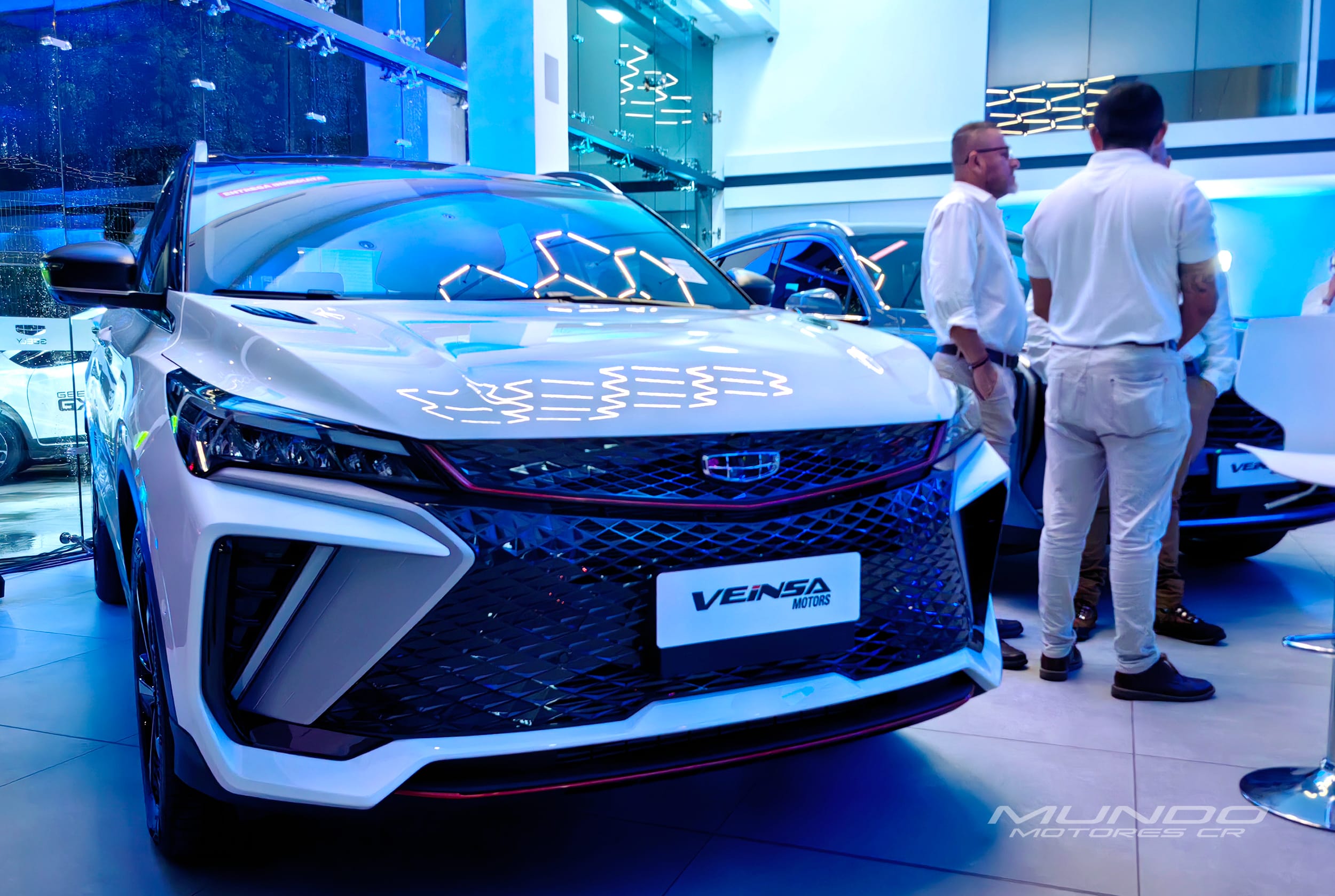 geely 1 veinsa
