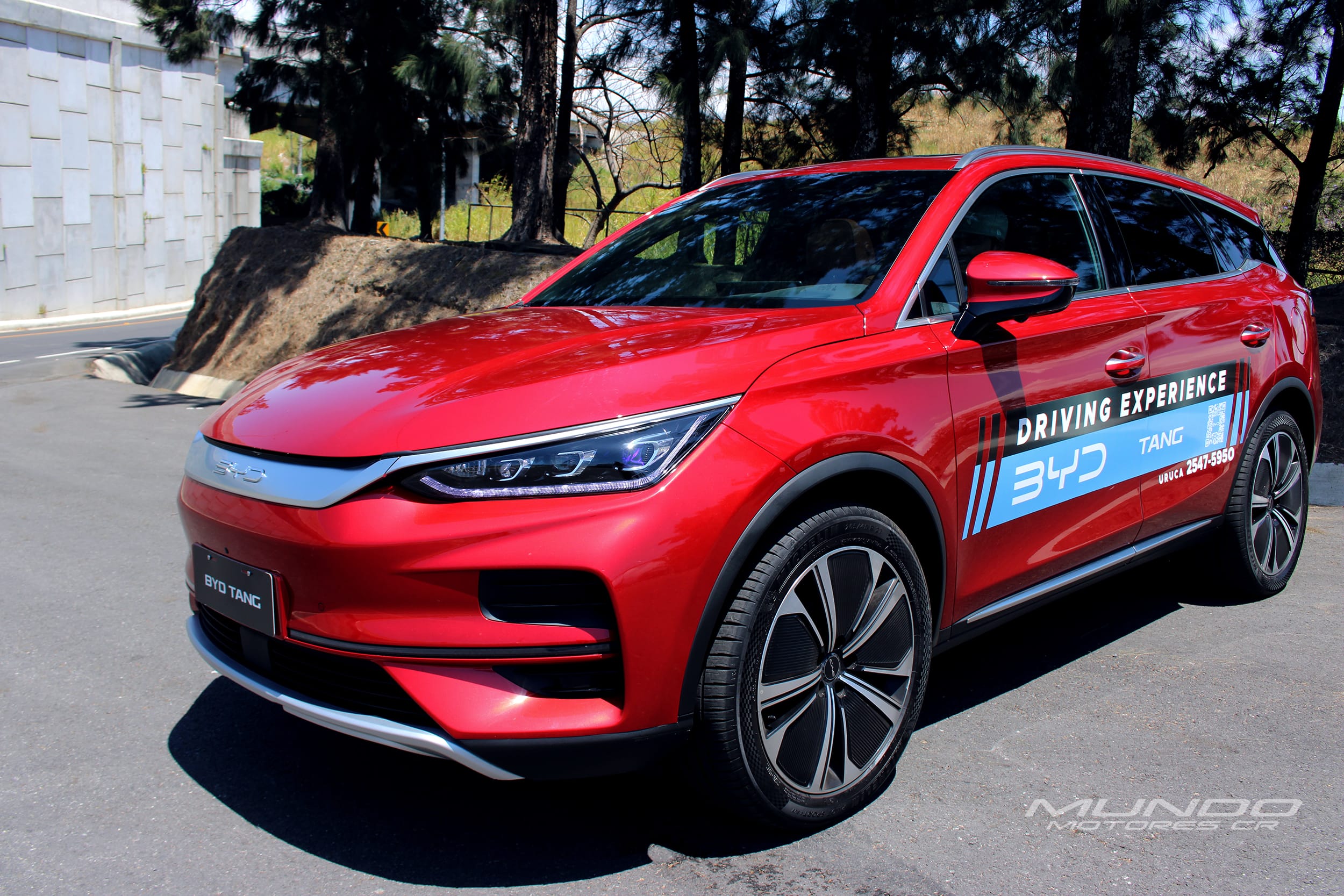 byd tang