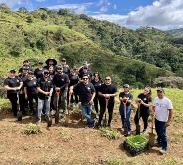 chevrolet siembra 100 árboles