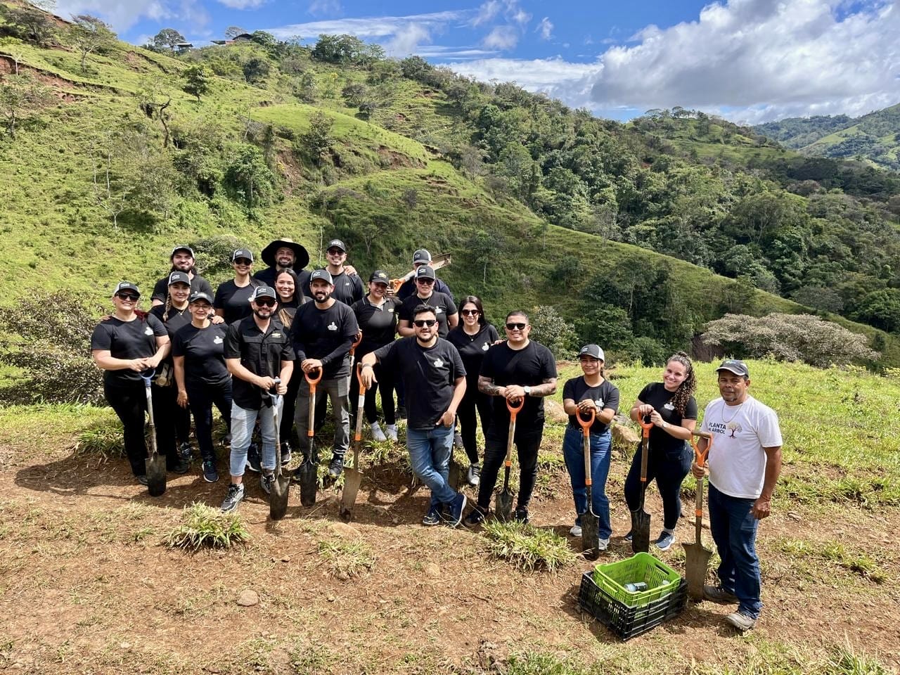 chevrolet siembra 100 árboles