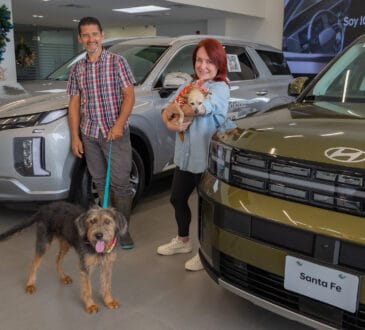 zaguatón navideño hyundai