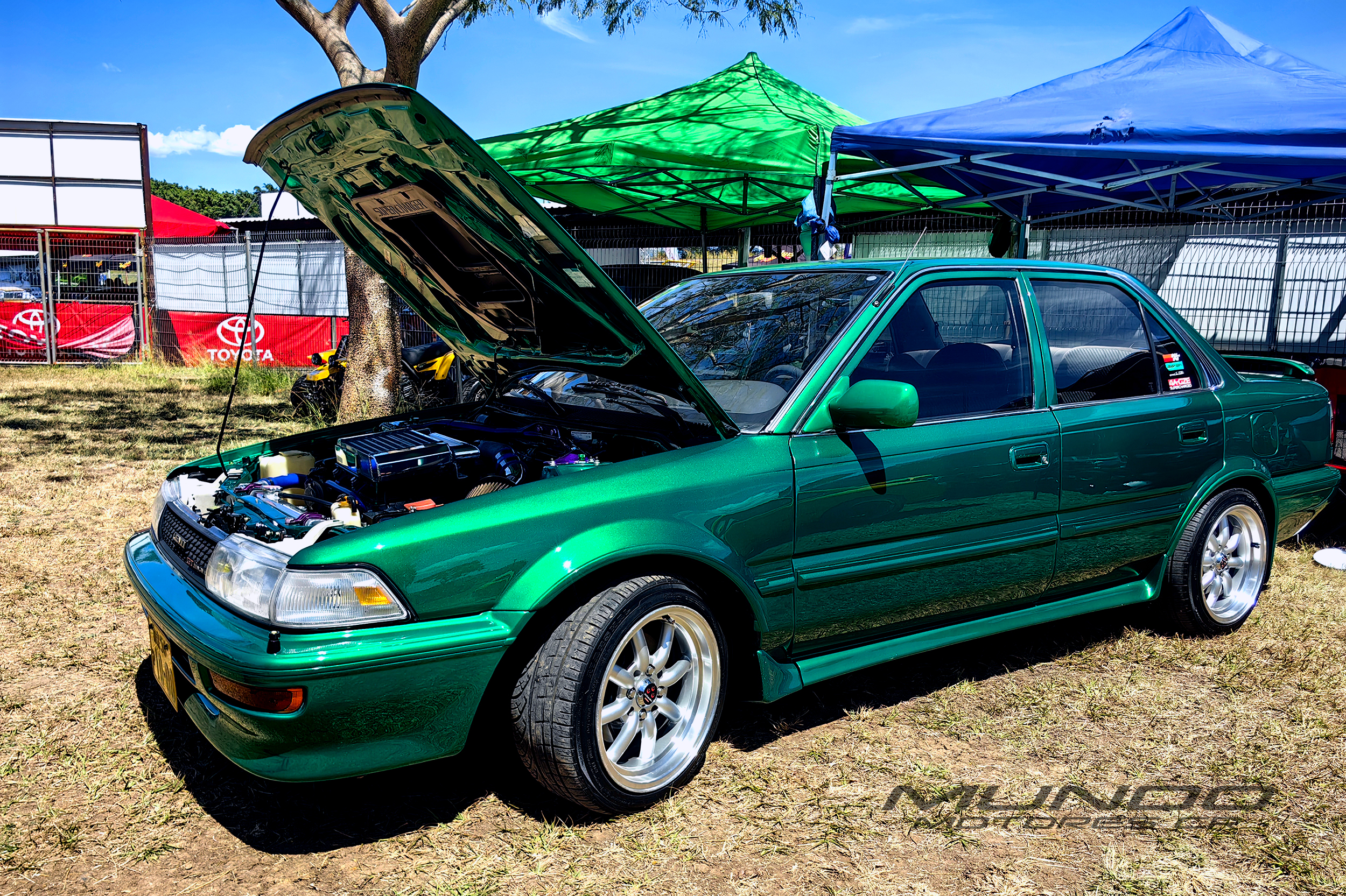 car crazy 2