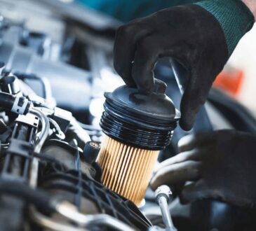filtro de gasolina