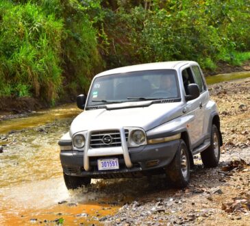 ssangyong korando kj