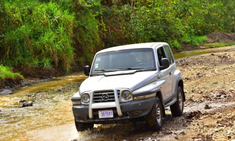 ssangyong korando kj
