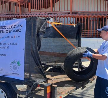 bridgestone consolida su rol ambiental en la 9.ª edición del llantatón