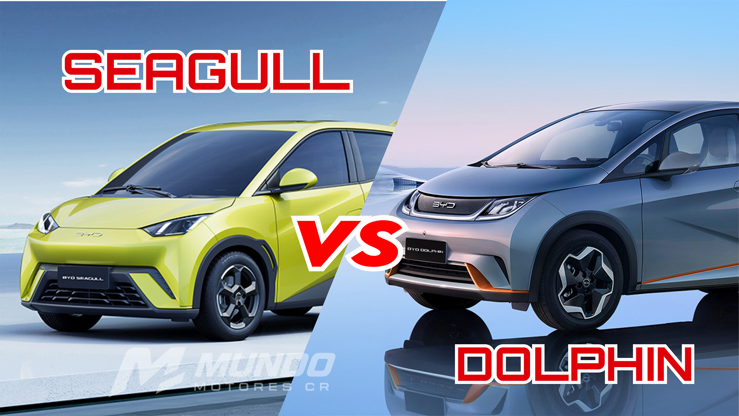 vsbyd Seagull vs Dolphin
