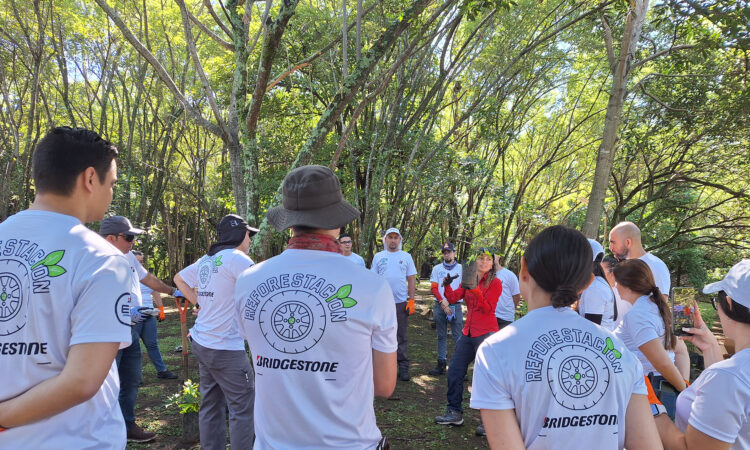 bridgestone celebra con reforestación el galardón de bandera azul ecológica