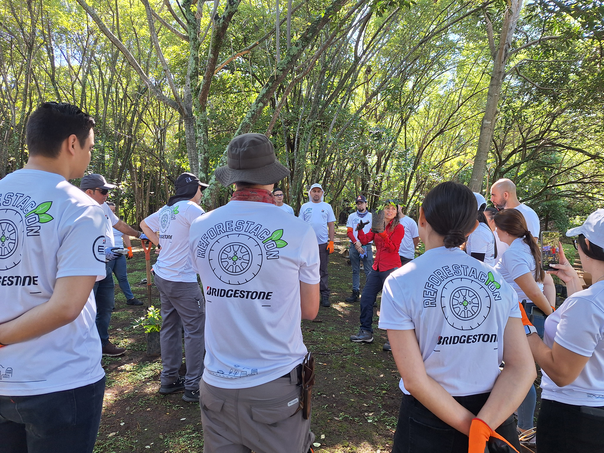 bridgestone celebra con reforestacion el galardon de bandera azul ecologica bridgestone celebra con reforestación el galardón de bandera azul ecológica