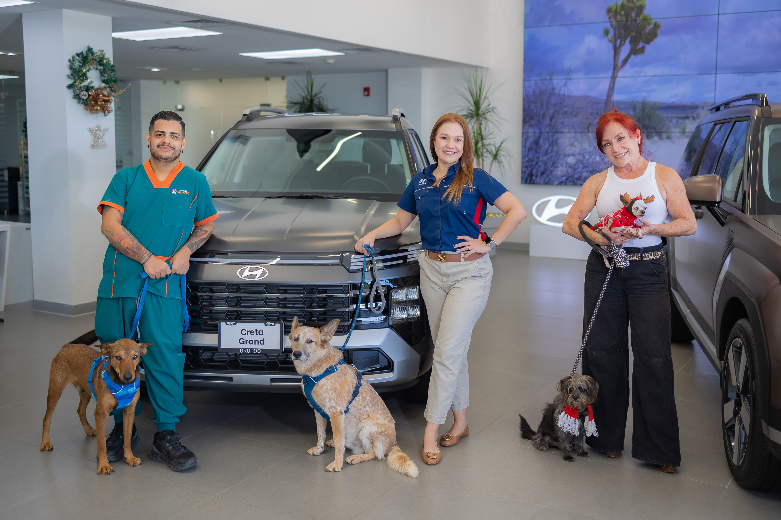 Hyundai impulsa Zaguaton Navideno ante crisis en refugios Hyundai impulsa Zaguatón Navideño ante crisis en refugios